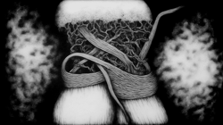 entanglement V4