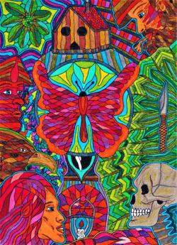 Butterfly - BZJF0gMF21