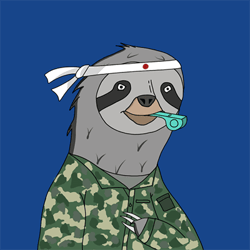 Sleepy Sloth Club
