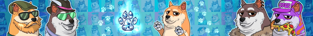 First Paw Lab