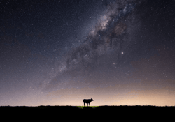 UFO sightings reports