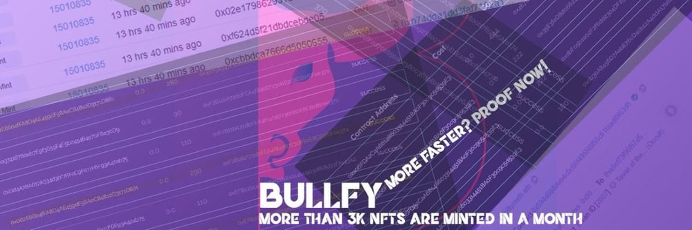 Bullfy V2