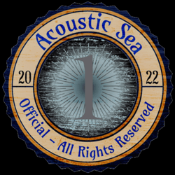 Acoustic Sea Voice Certificate Neil Armstrong