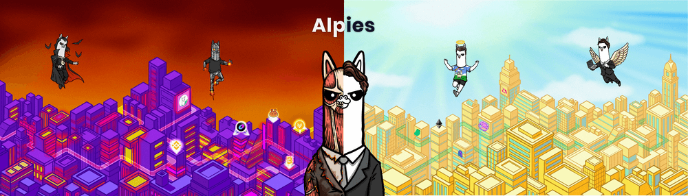 Dreamer Alpies
