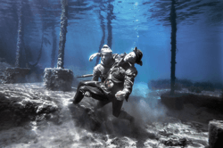 SONS OF THE DARDANELLES. ANZAC