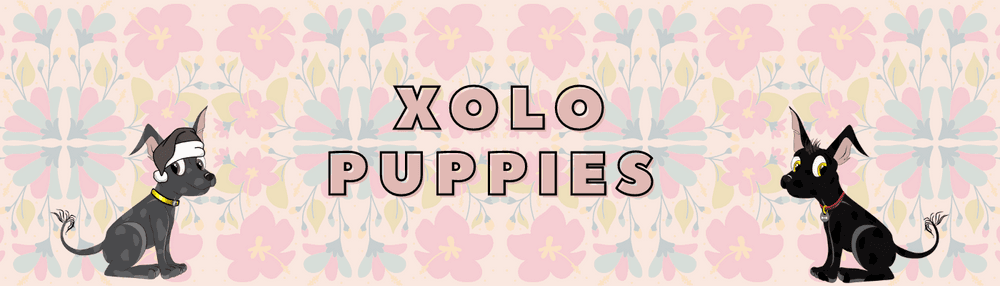 Xolo Puppies