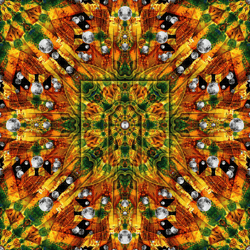 Nuwan Shilpa | Limited Editions