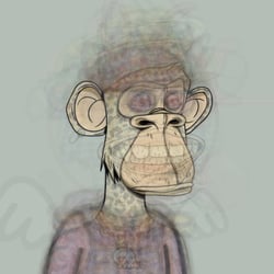 CryptoBordies Art