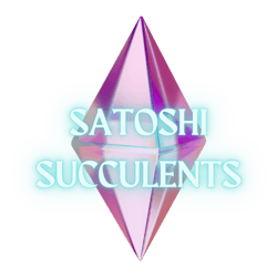 Satoshi Succulents NFT
