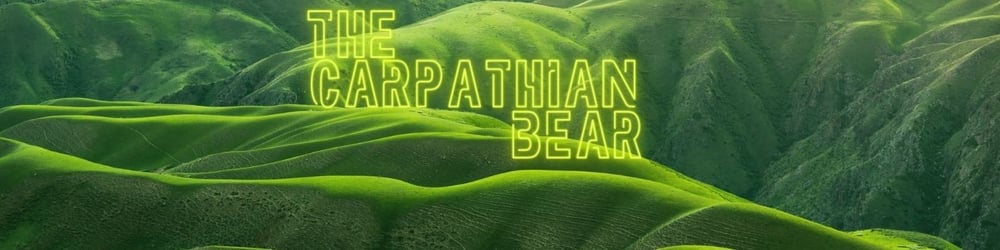 The Carpathian Brown Bear