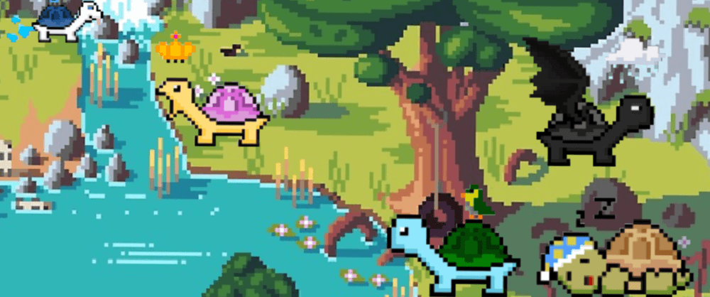 TurtleMoons