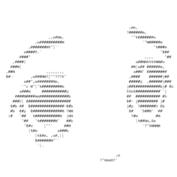 Ascii Milady