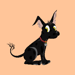 Xolo Puppies