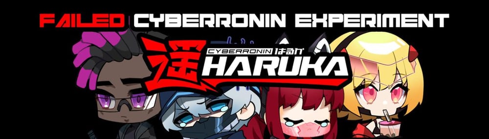 Failed CyberRonin Experiment