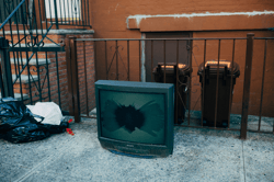 The TV Series