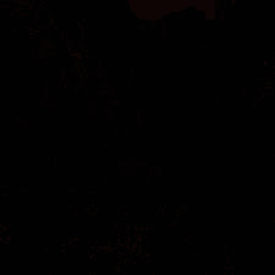 Test-2222