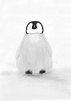 Dnyanada