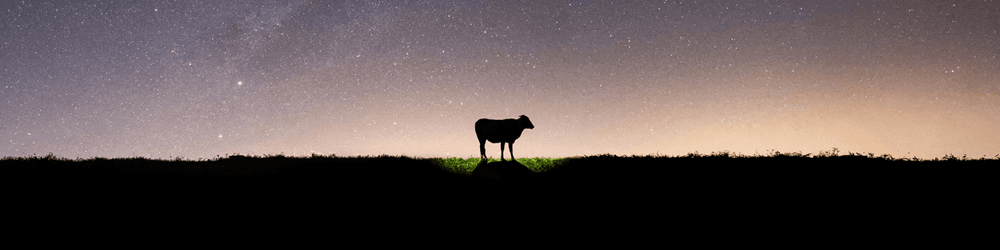 UFO sightings reports