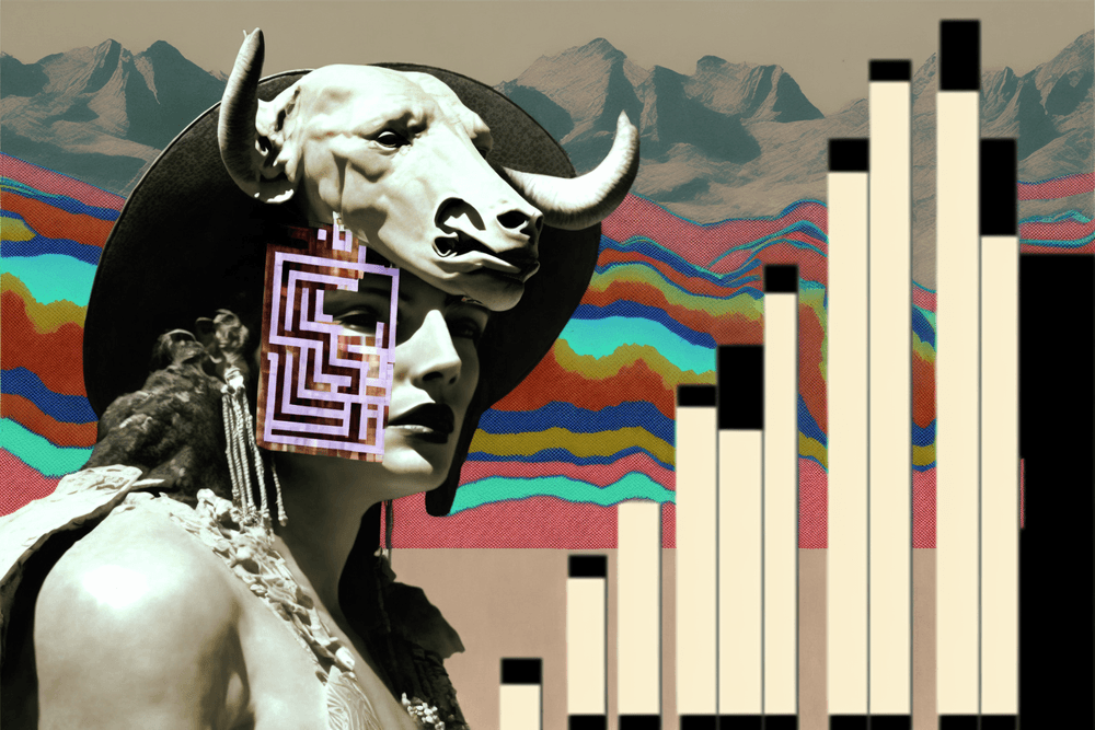 BEAR MARKET RODEO
