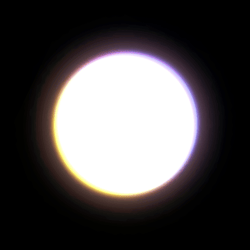 HODL by BOUZE
