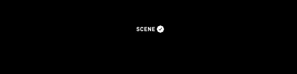 Scene Checks