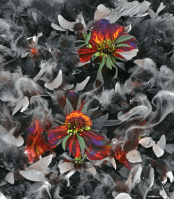 !flora eterna 77