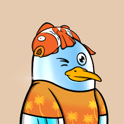 Savvy Seagulls