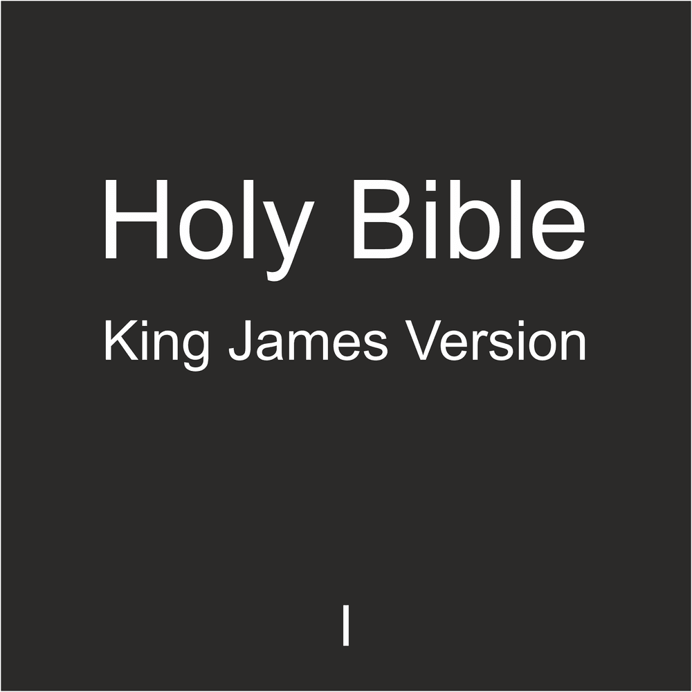 Holy Bible: King James Version #101/149