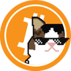 thebitcats