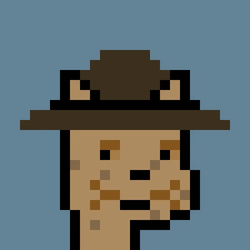 CryptoCatPunks by StudioModuler