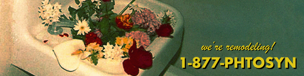 SUPERMARKET Flowers