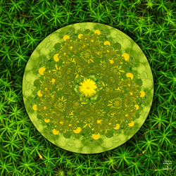 Extracts from The Mystical Microzoology of Mathematics Companion Works