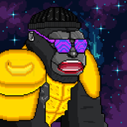 888 Alpha Gorillas