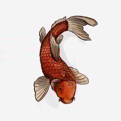 D.B.K.