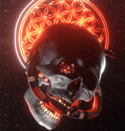 Never Say Die