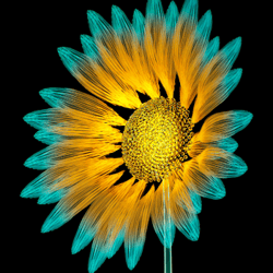 Log Flower