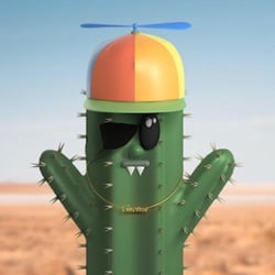 Cacti Cacti Cacti