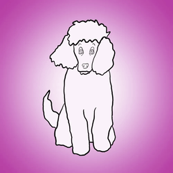 Posh Poodles NFT