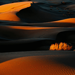 Desert Lines by Asef Azi