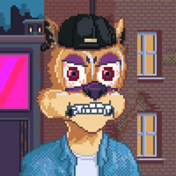 Pixel Degen Toonz