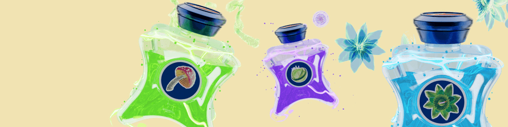 MNTGE + SW Ink