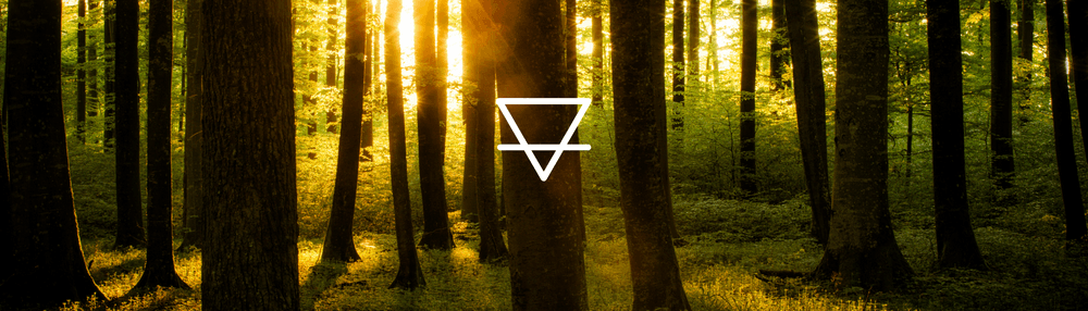 Paracelsus - Druid