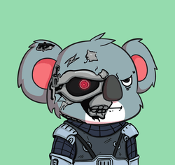 Koalify.io NFT
