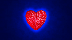 Brain Heart Collector Airdrop by Ron English