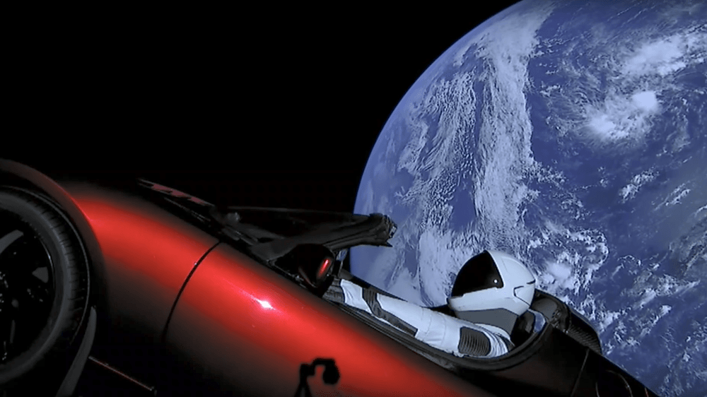 Elon DAO