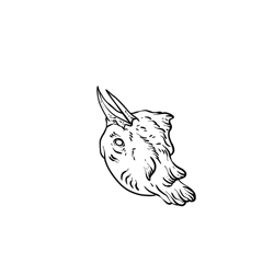 The Birds of Emotion