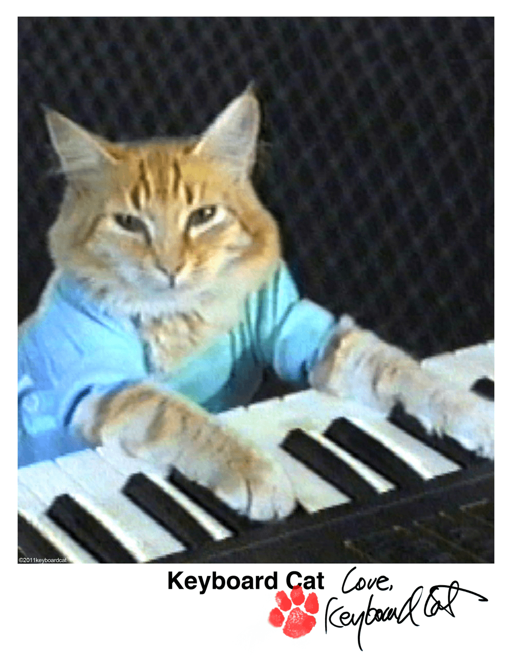 Autographed Keyboard Cat Headshot