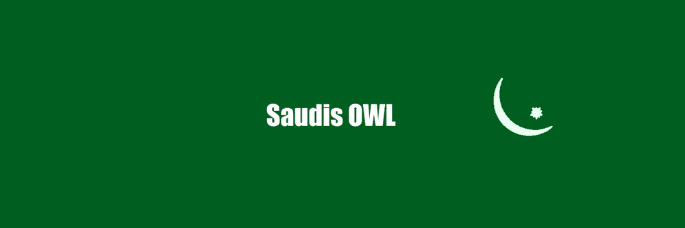 Saudis Owl