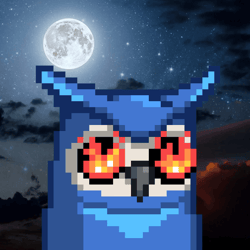 notMoonbirds