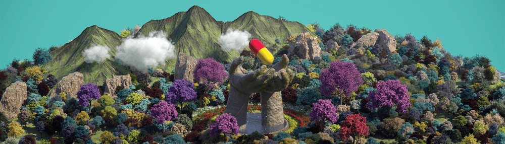 Absurd Arboretum - the Reserve